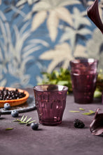 Duralex Le Picardie® - 25 cl Glass - Precious Nature "Plum" (Set of 4) Le Picardie® - 25 cl Glass - Precious Nature "Plum" (Set of 4)
